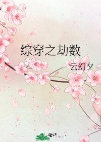 《综穿之劫数》