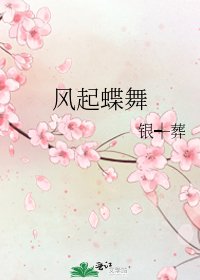 风起蝶舞