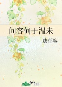 《问容何于温未》