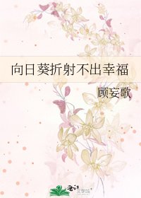 向日葵折射不出幸福