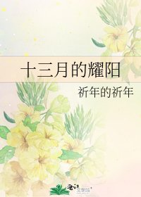 《十三月的耀阳》