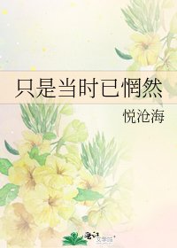 《只是当时已惘然》