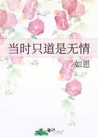 当时只道是无情