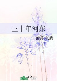 三十年河东