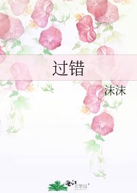 过错