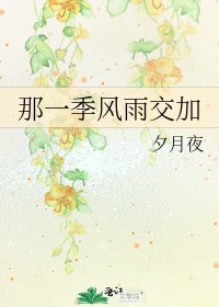 那一季风雨交加