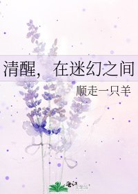 清醒，在迷幻之间