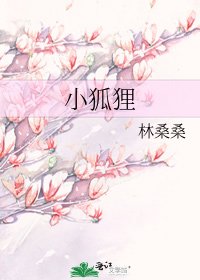 小狐狸