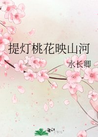 《提灯桃花映山河》