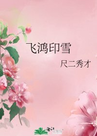 《飞鸿印雪》