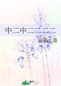 《中二中二二二二》