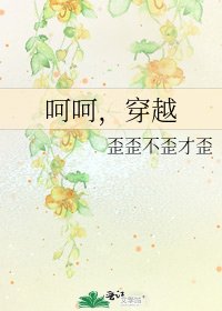 《呵呵,穿越》