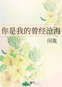 你是我的曾经沧海