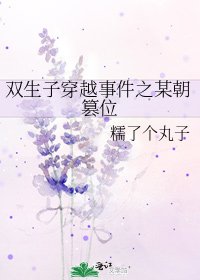 双生子穿越事件之某朝篡位