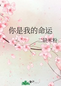 你是我的命运