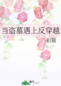《当盗墓遇上反穿越》
