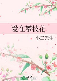 《爱在攀枝花》
