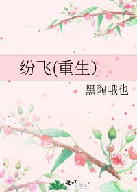 纷飞(重生）