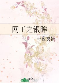 《网王之银眸》