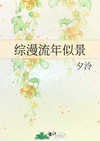 《综漫流年似景》