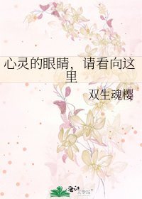 心灵的眼睛，请看向这里