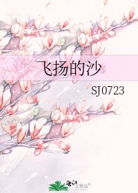 飞扬的沙