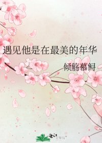 遇见他是在最美的年华
