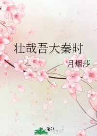 壮哉吾大秦时