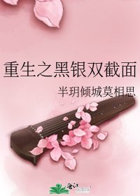 重生之黑银双截面