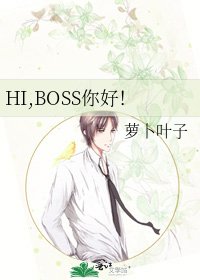 HI,BOSS你好！