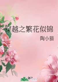 穿越之繁花似锦