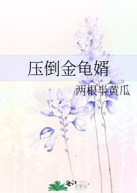 压倒金龟婿