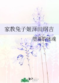 《家教兔子姬泽田纲吉》