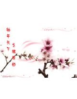 《袖手天下之桃花劫》