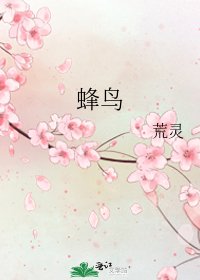 蜂鸟