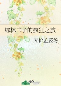 《综林二子的疯狂之旅》