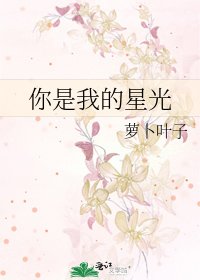 你是我的星光
