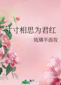 寸寸相思为君红