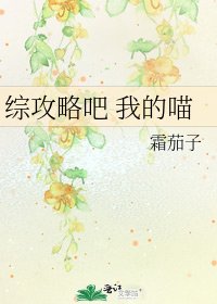 综攻略吧 我的喵