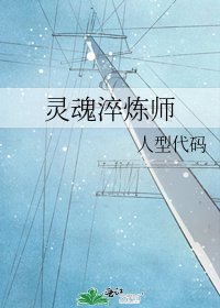 灵陨淬炼师