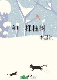 种一棵槐树