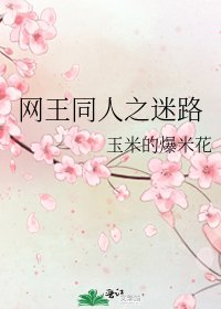 《网王同人之迷路》