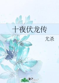 十夜伏龙传