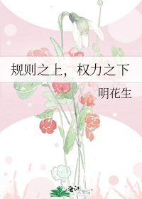 《规则之上,权力之下》