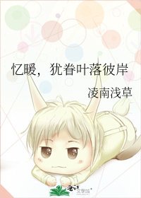 《忆暖,犹眷叶落彼岸》