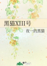 黑猫XIII号