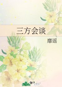 《三方会谈》