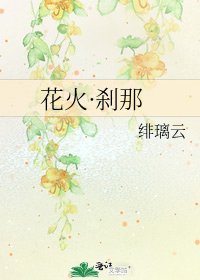 花火·刹那