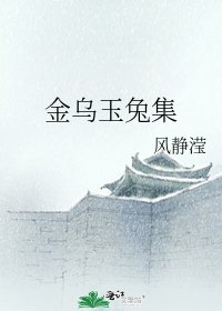 金乌玉兔集