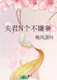 夫君N个不嫌多